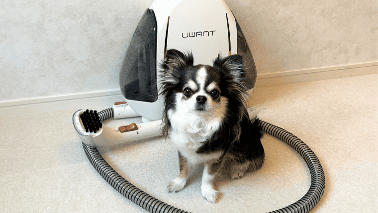 ペットのおしっこ跡におすすめ！UWANTのリンサークリーナーを使って