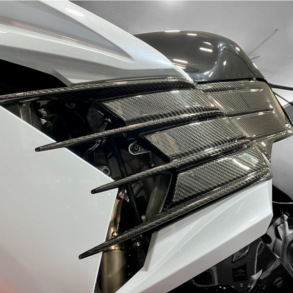 AGM ZX14R Carbon Fiber Side Gills - Montgomery Motorsports