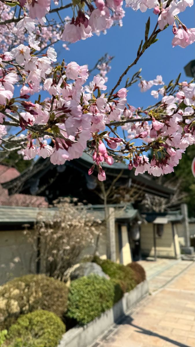 投稿詳細｜MOTOCLE