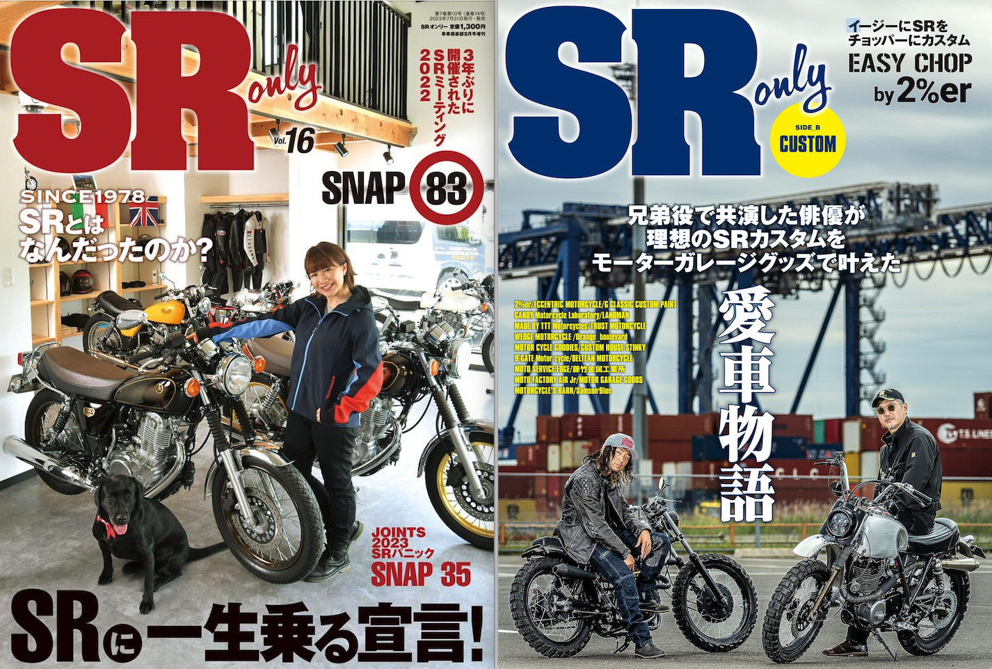 注目のパーツ……オレンジブルバード/VPSSマフラー（タンデムタイプ