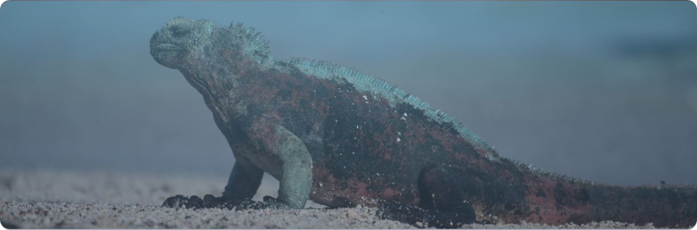 エムズワン有限会社