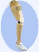 当社開発製品｜長崎かなえ長崎かなえ