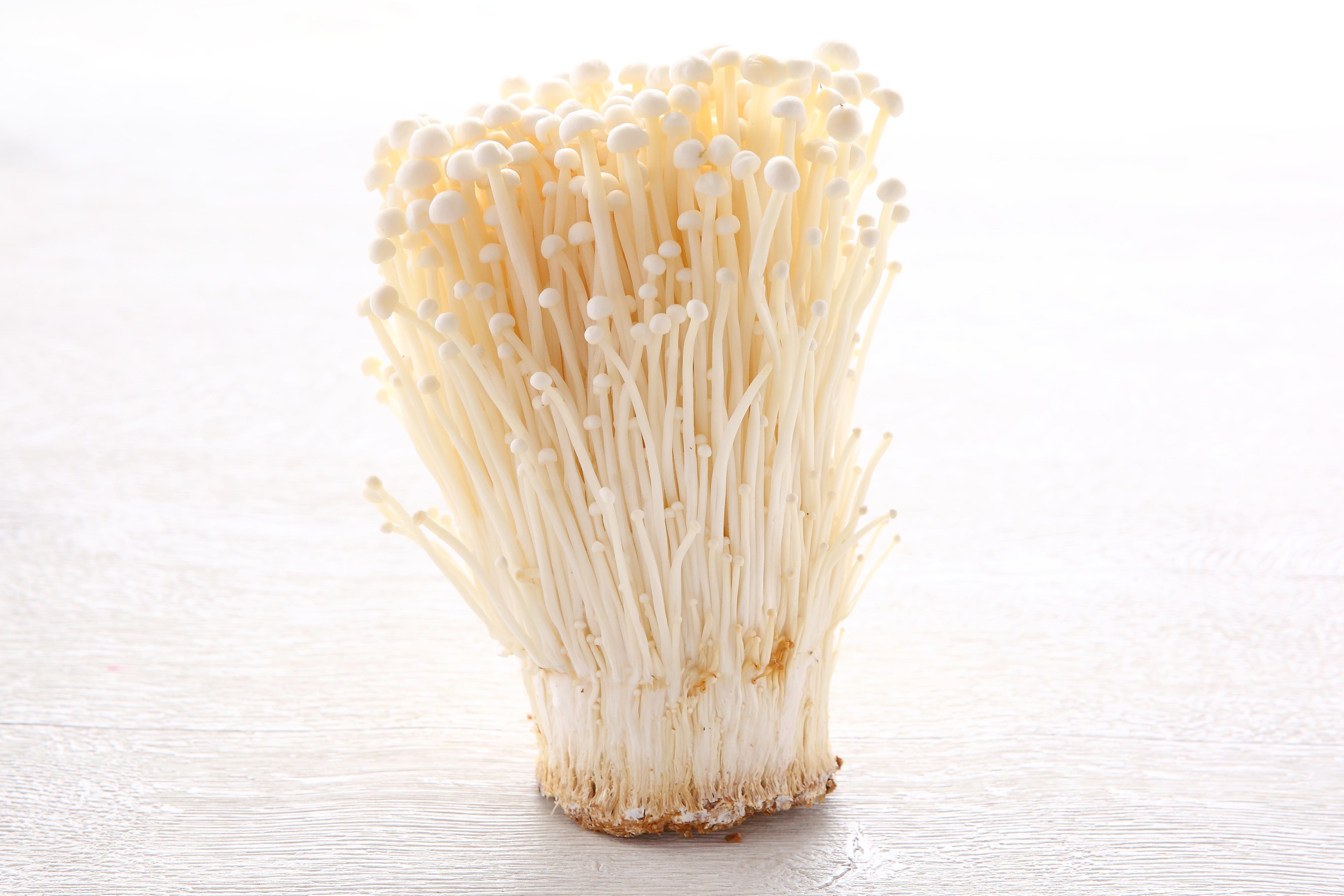 TV放映情報】日テレ「カズレーザーと学ぶ。」でえのきたけが紹介され