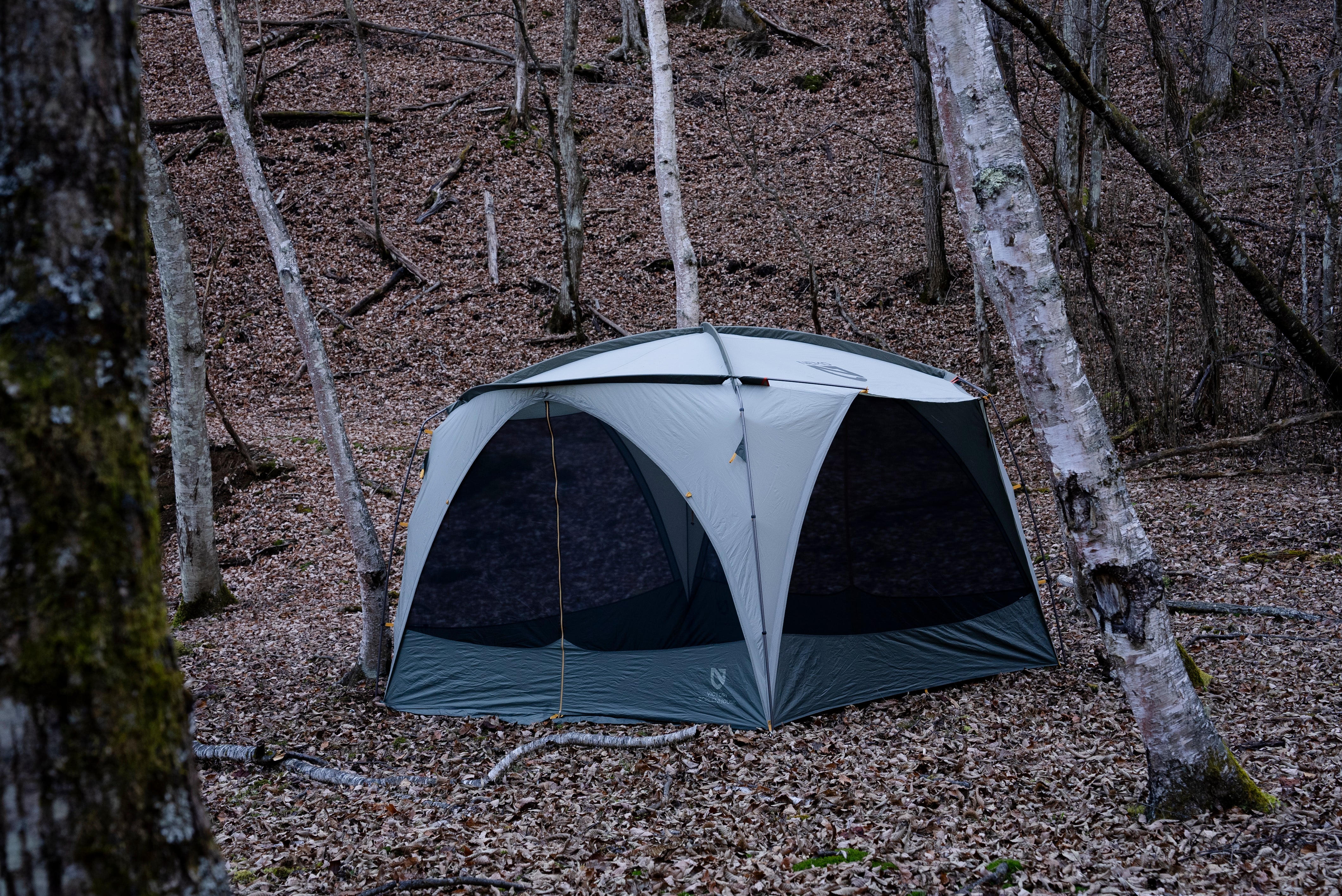 Victory™ Screenhouse – NEMO Equipment Japan