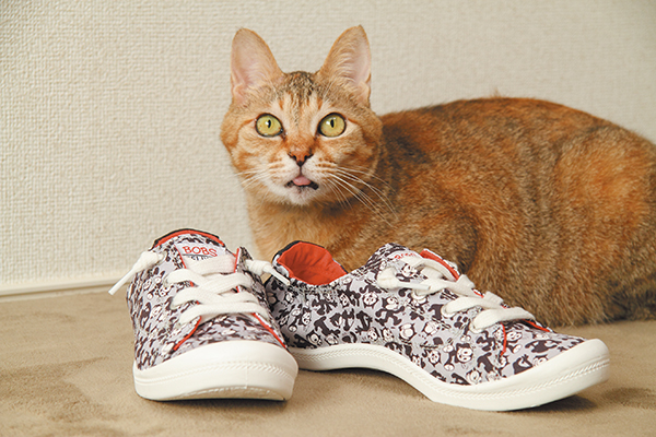 いっしょに旅に出たくなるスニーカー│ニッポン猫旅