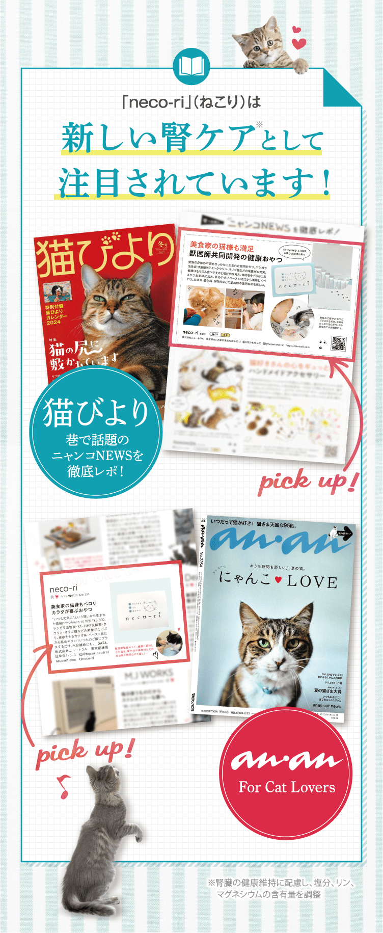 公式】neco-ri（ねこり）｜猫のカラダを考えた健康おやつ