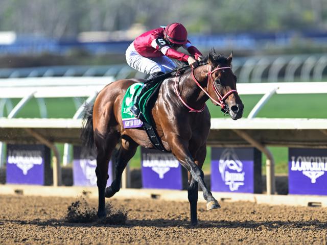 今週末は「フォーエバーヤング ブリーダーズカップクラシック優勝記念