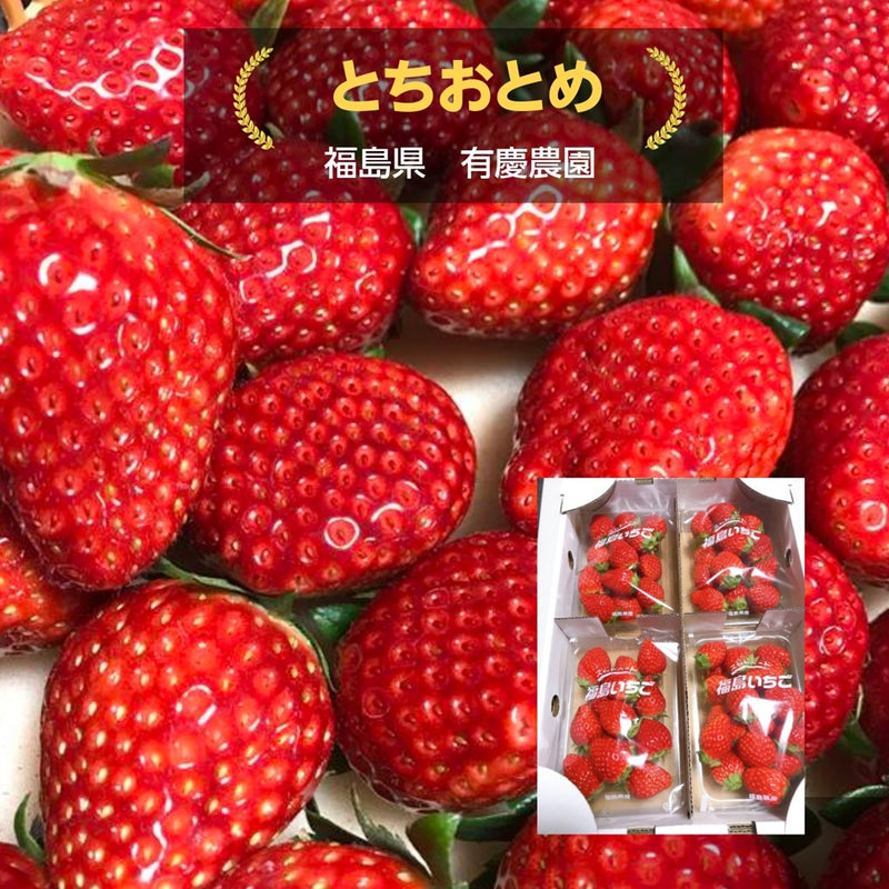 いちご 【有慶農園】 とちおとめ 250g×4パック 福島県須賀川 苺