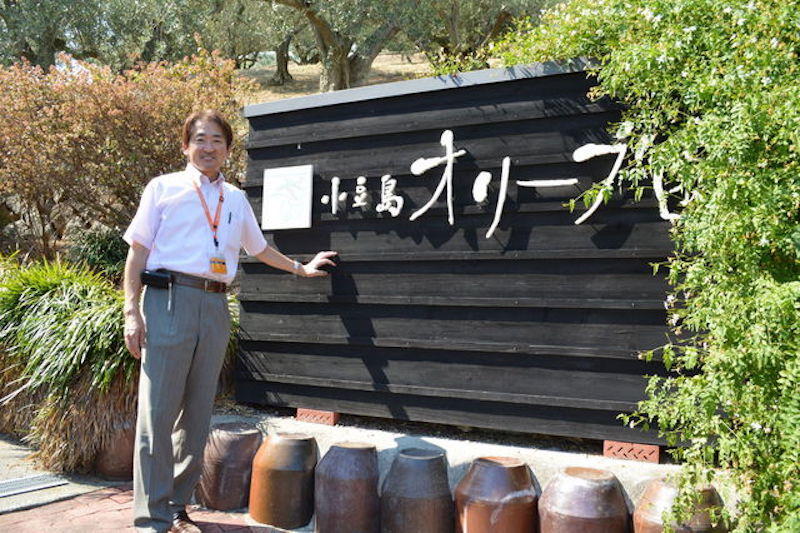 地方創生・小豆島】日本最古の産業用オリーブ農園「小豆島オリーブ園