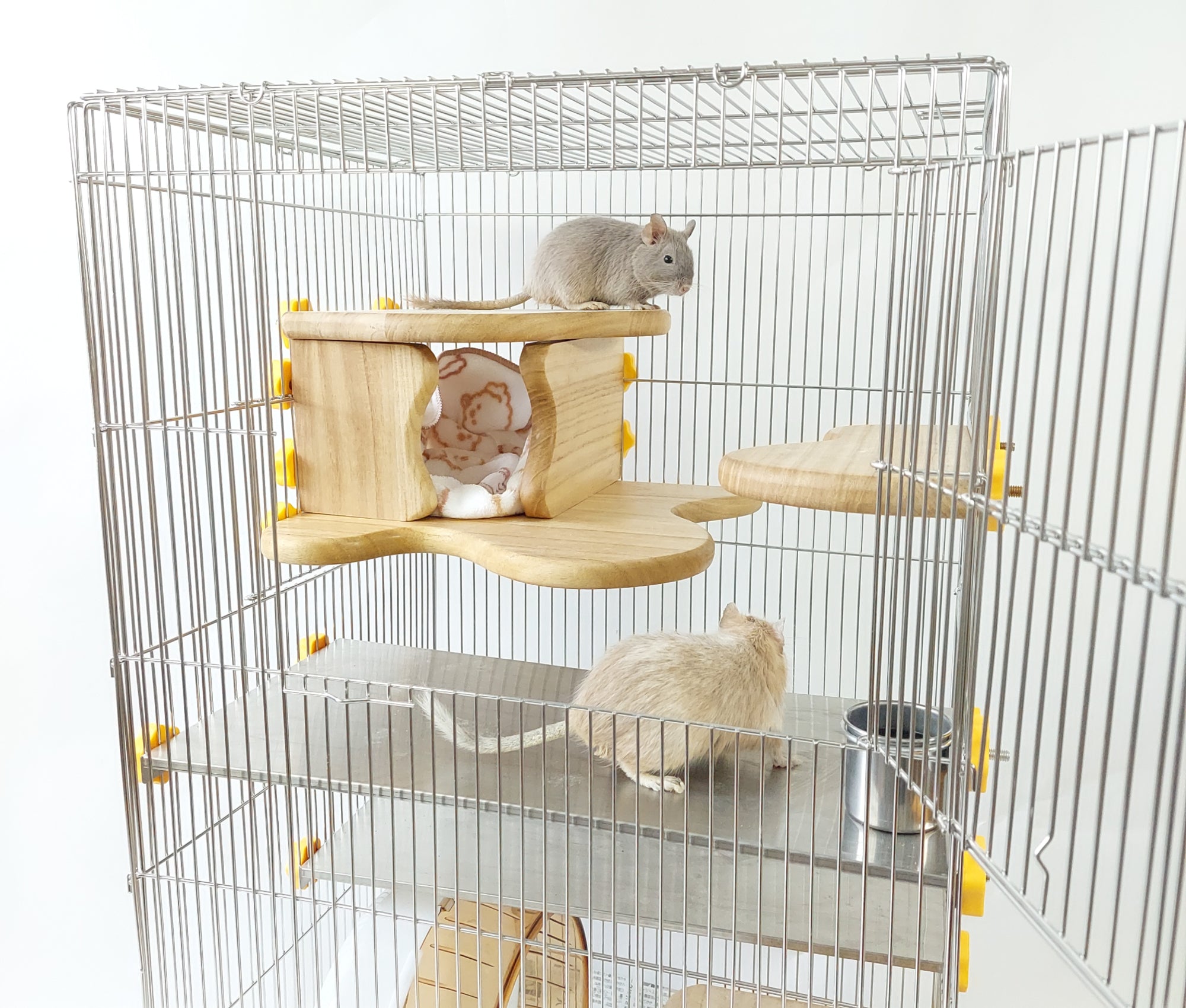 デグーとの、のびのびライフを創る。デグー開発用品ショップ「のびデグ」