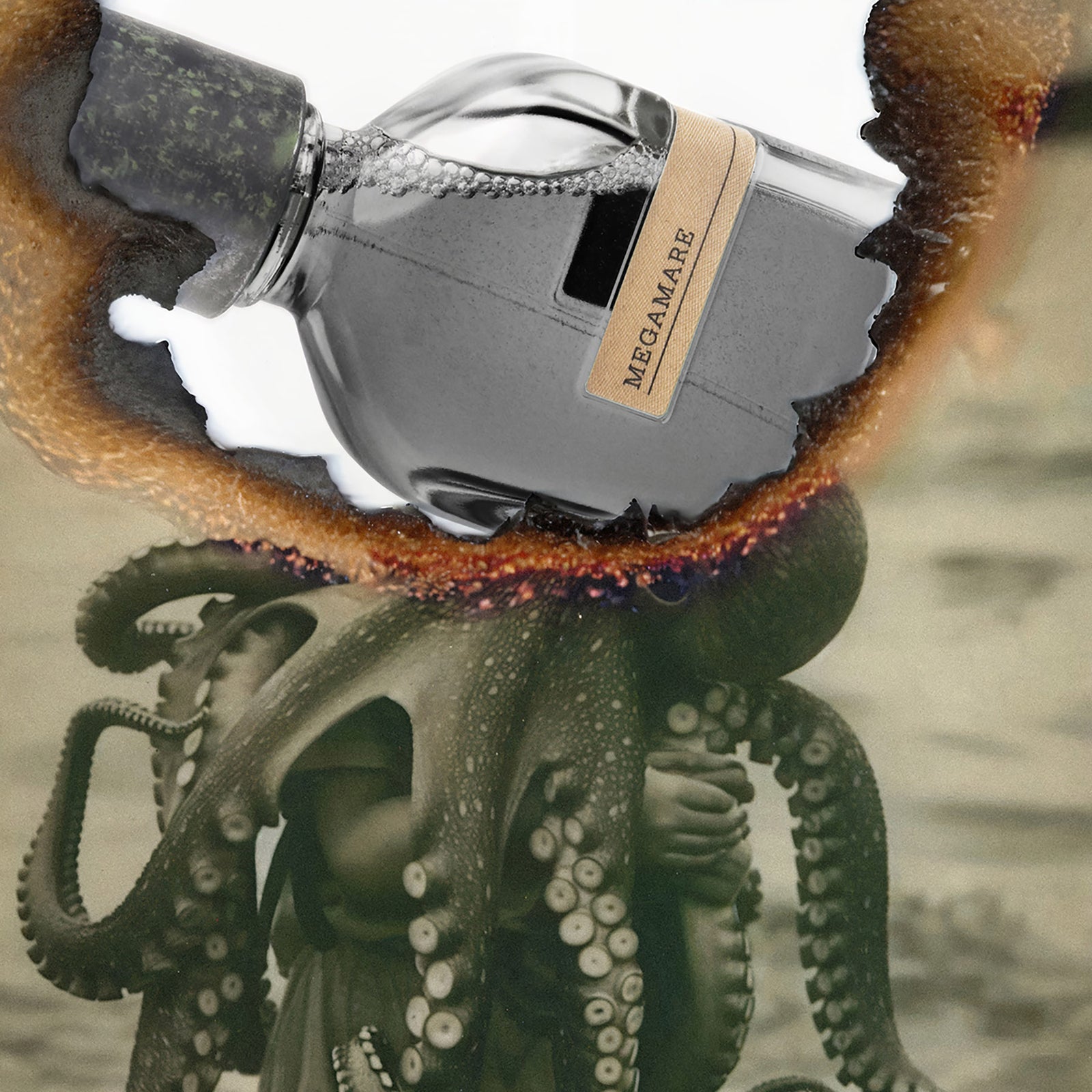 メガマーレ｜海 – NOSE SHOP