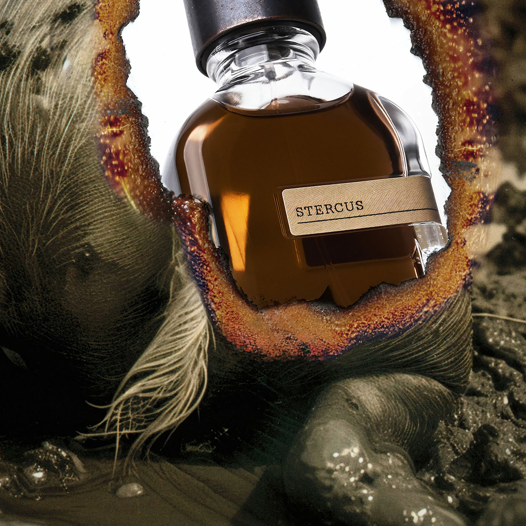 香りのDM便 Orto Parisi – NOSE SHOP