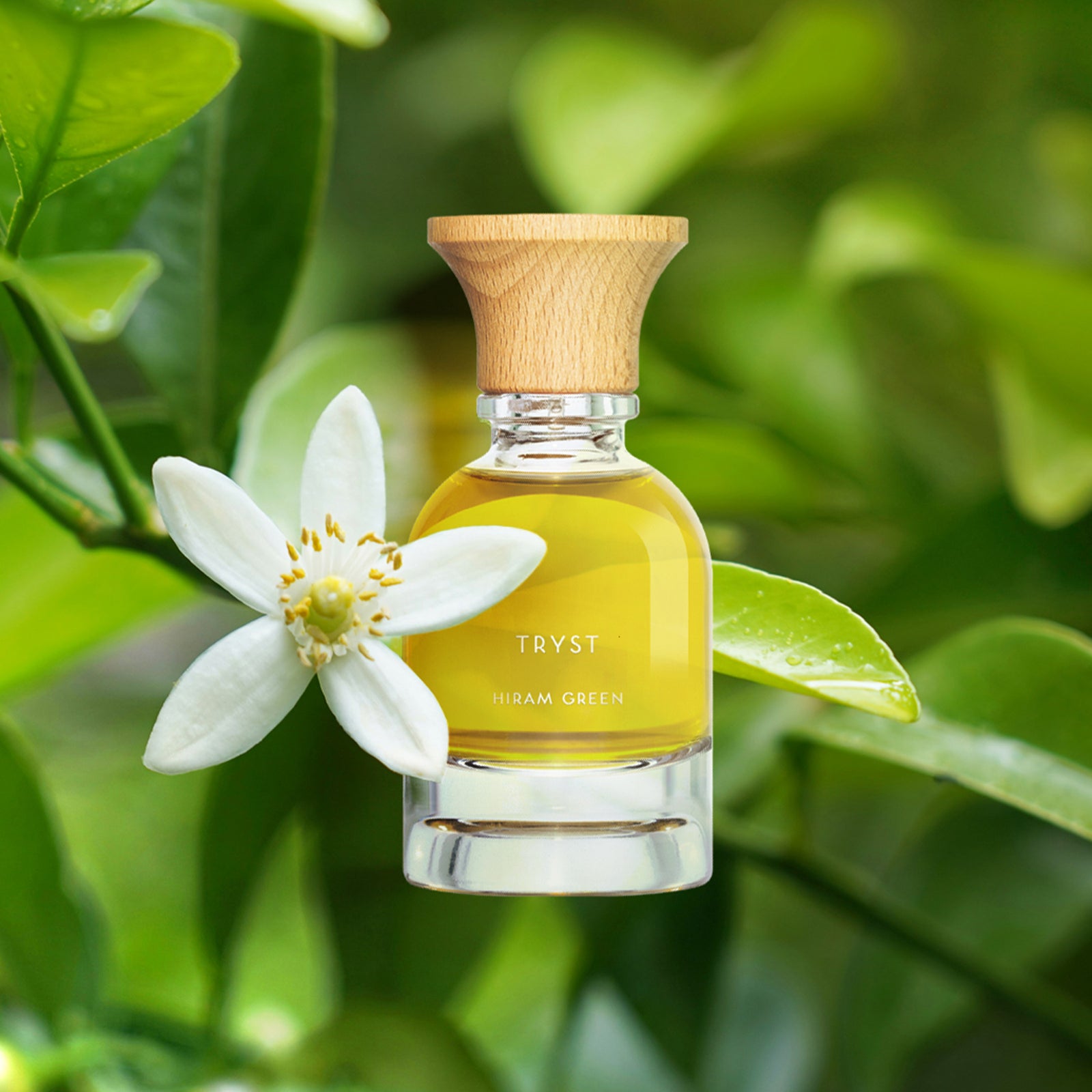 トゥリスト – NOSE SHOP