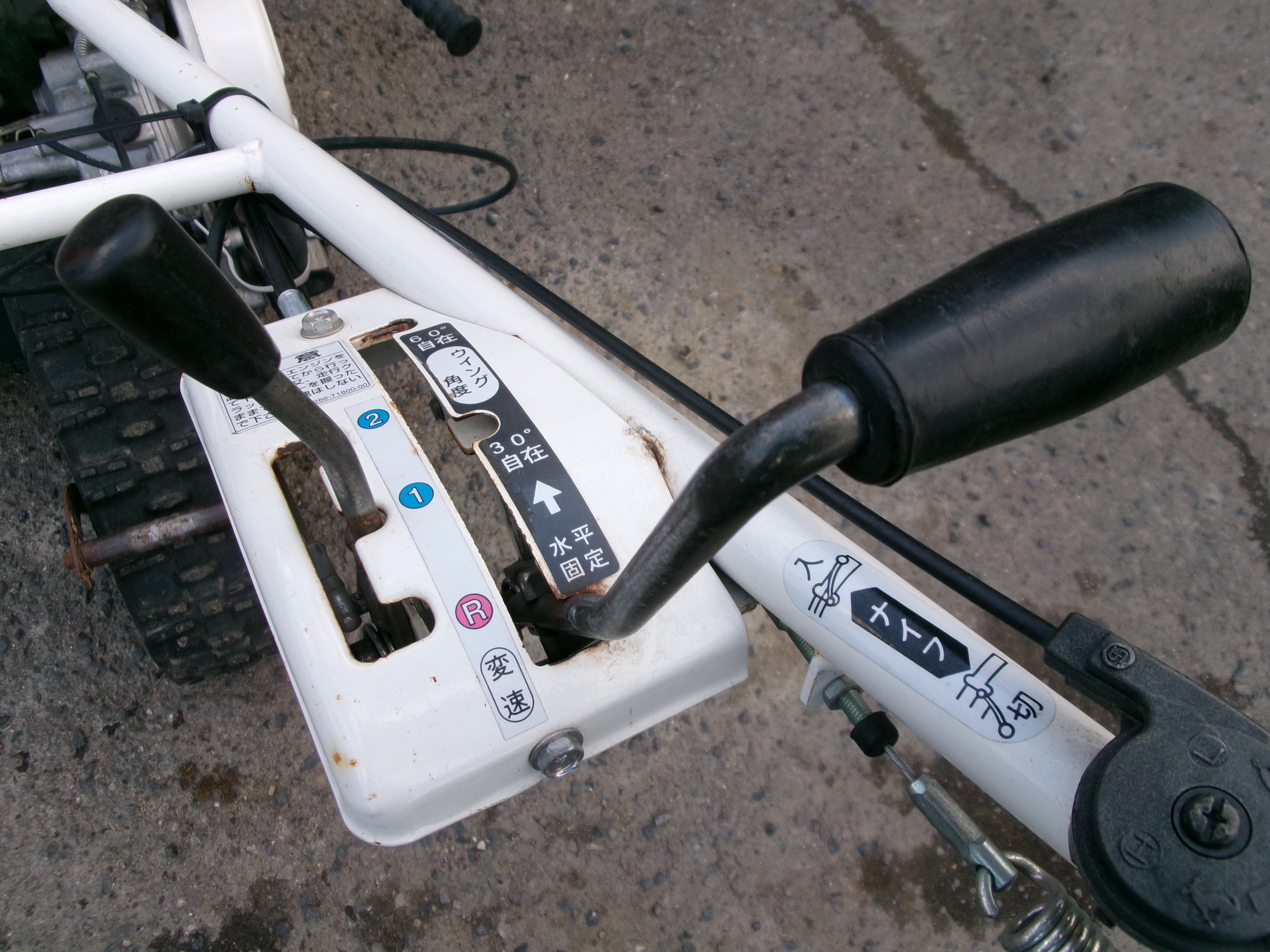 164_4853.jpg?v=1708938058&