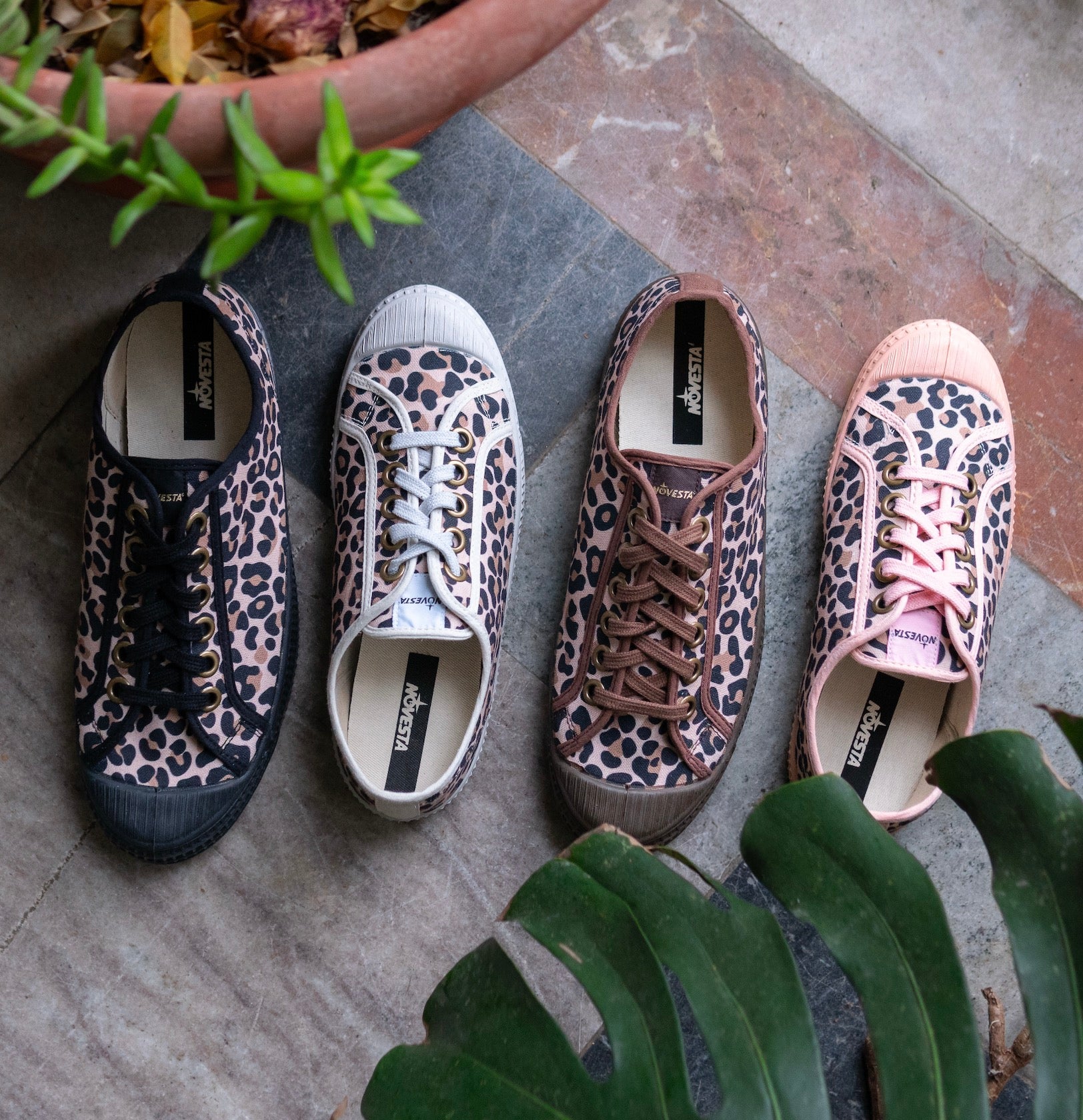 NOVESTA（ノヴェスタ / ノベスタ） 公式ストア通販 - STAR MASTER