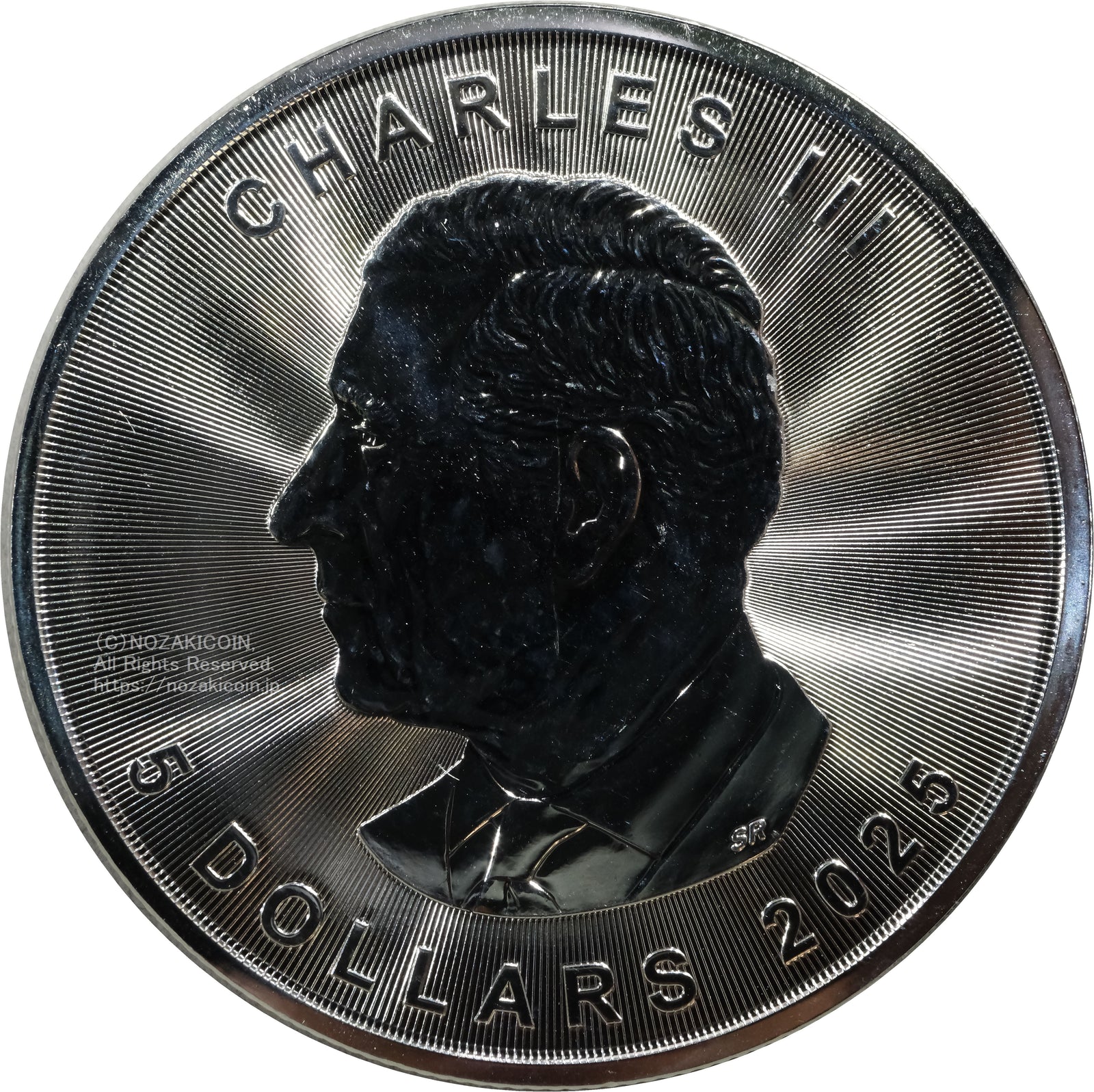 DSCF0194_1600x.jpg?v=1739613456