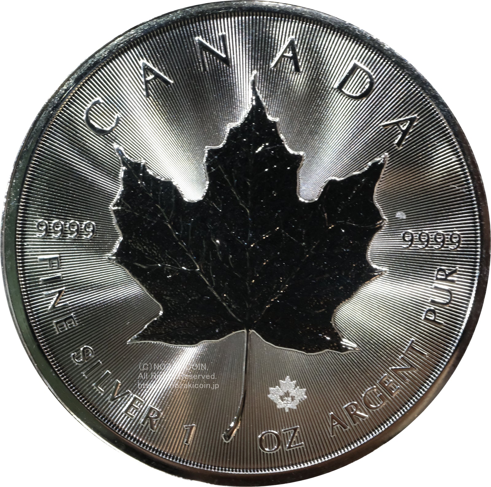 DSCF0193_1600x.jpg?v=1739613453