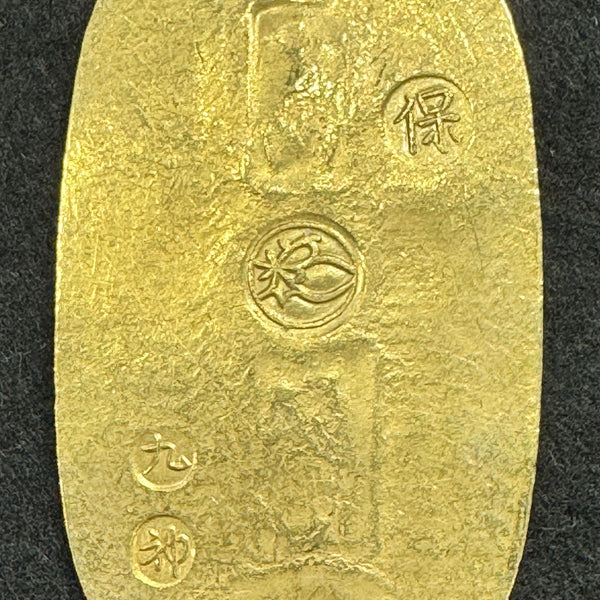 IMG_1304_600x600_crop_center.