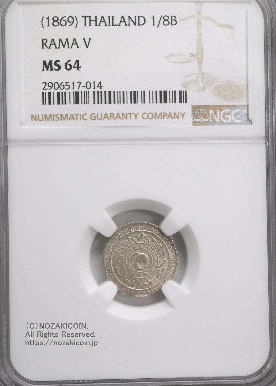 s-DSCF0950_900x.jpg?v=1752732341