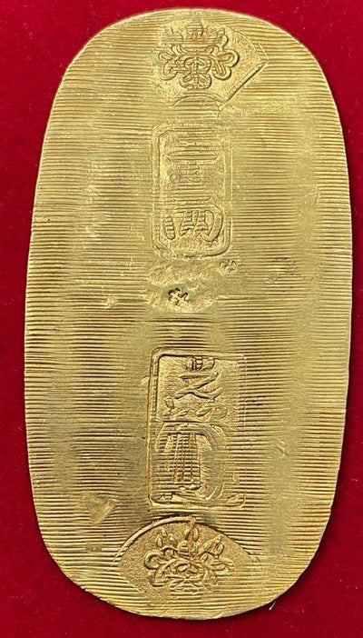 IMG_4494_400x.jpg?v=1689654889