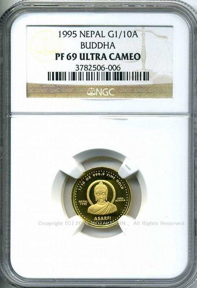 imgg195_400x.jpg?v=1689654082