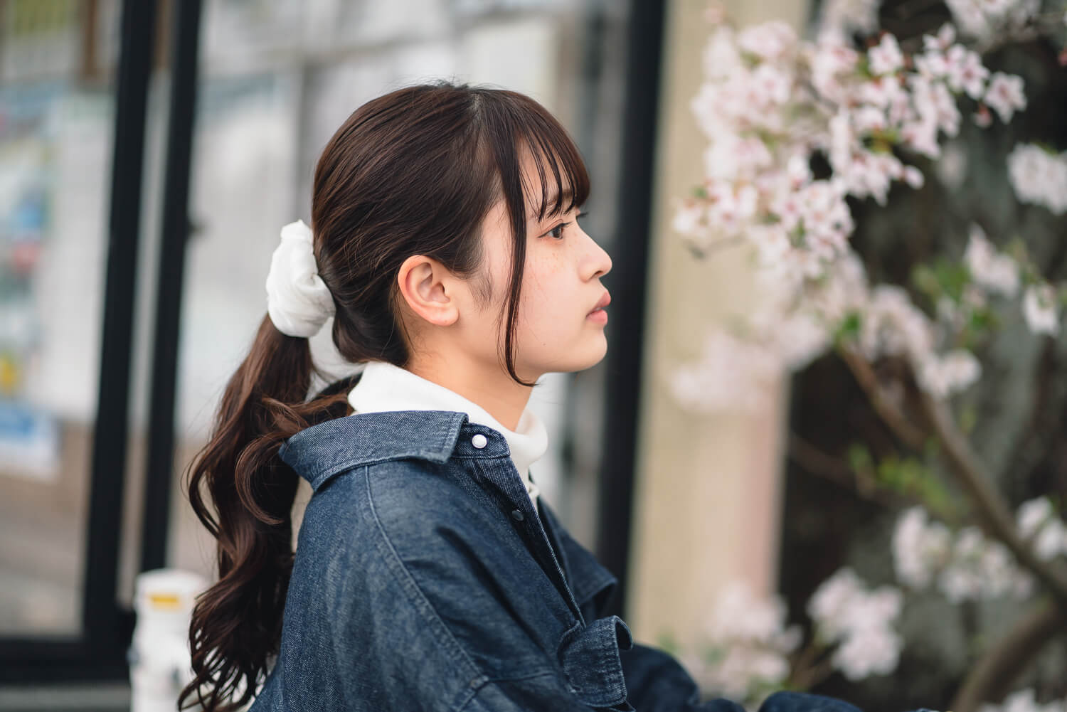 SONY FE 85mm F1.8」作例とレビュー｜ポートレート向きの隠れ名レンズ