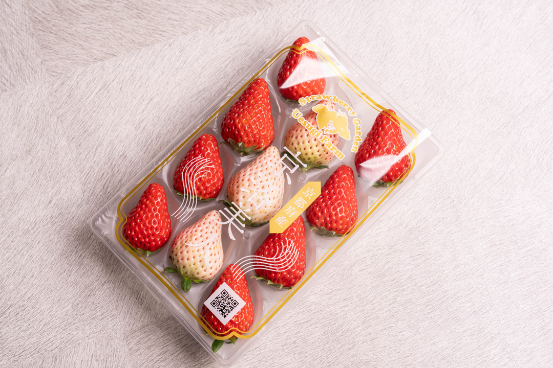 八幡市】いちご狩りも楽しい季節！サイクリングでまちを巡ろう｜ブログ