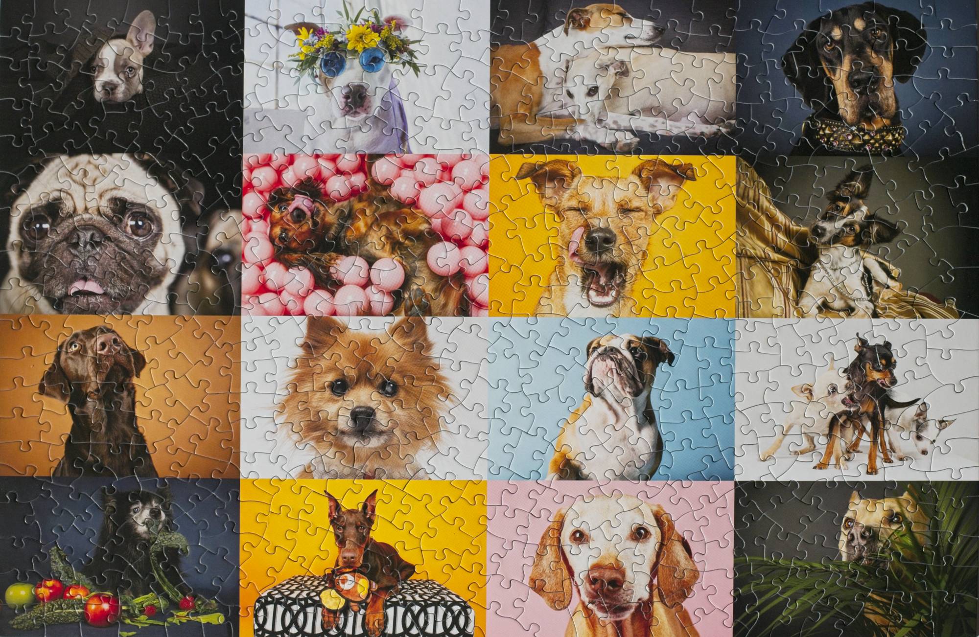 Dogs Puzzle – 500-Piece Dog Portraits by Ellen Shershow – Oakland
