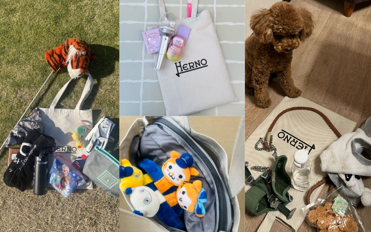 付録とは思えないクオリティで大好評！Oggi1月号付録【HERNOのサブ