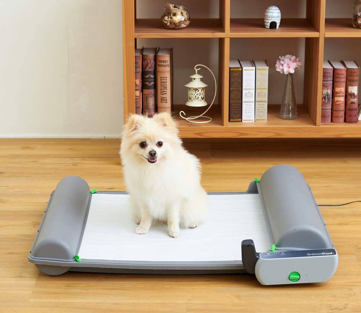 ロール式自動犬トイレ ブリリアントパッドSMART | 株式会社オーエフティー