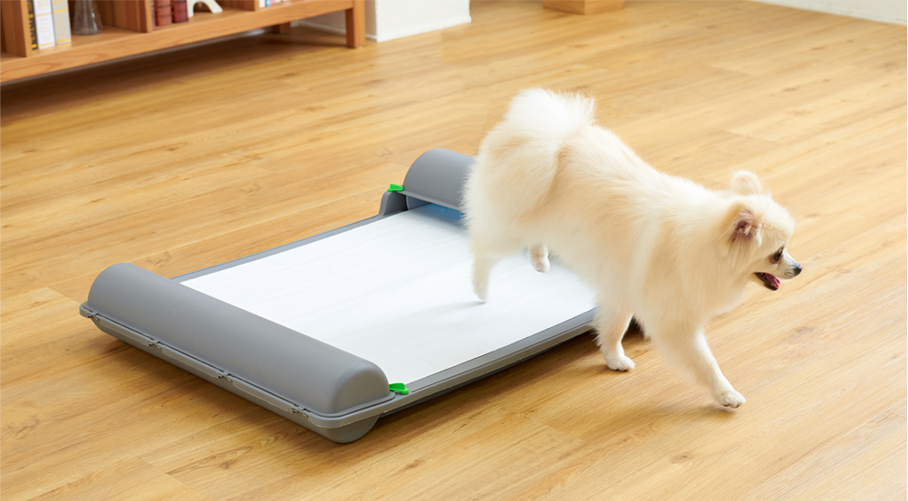 ロール式自動犬トイレ ブリリアントパッドSMART | 株式会社オーエフティー