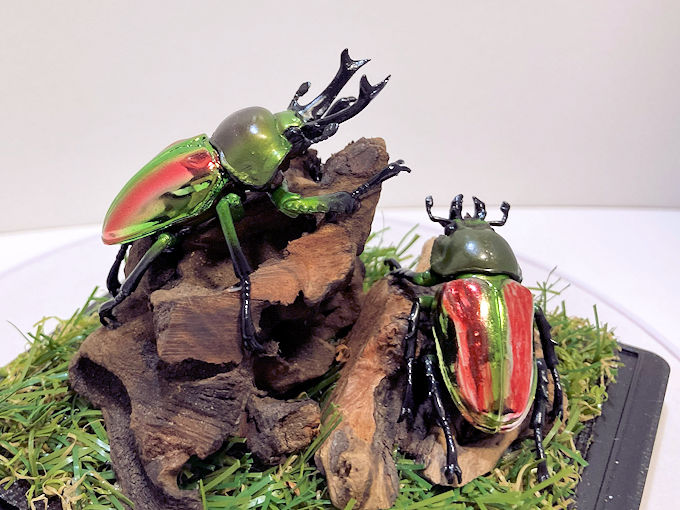 エラフスホソアカクワガタ♂83mmレプリカ標本 | オオクワ京都昆虫館