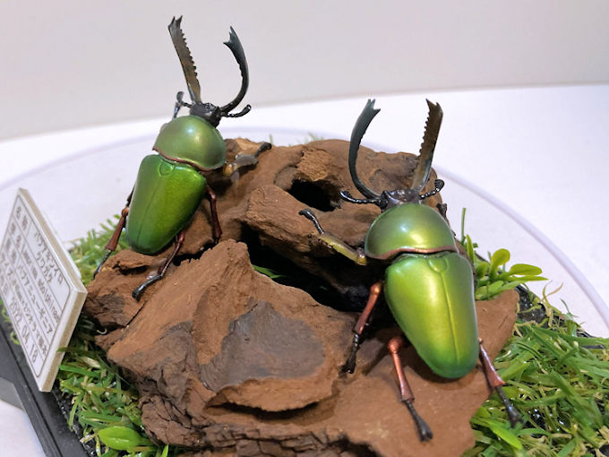 エラフスホソアカクワガタ♂83mmレプリカ標本 | オオクワ京都昆虫館