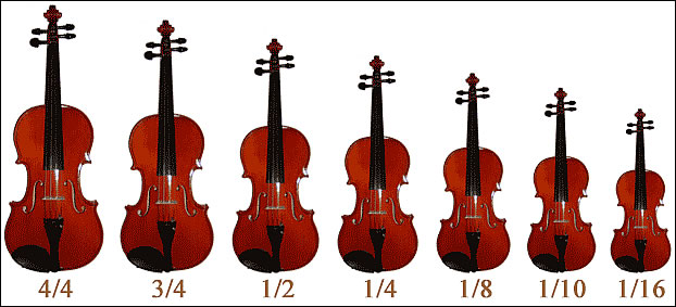 ヴィオラへの道 – oldbadboy.com