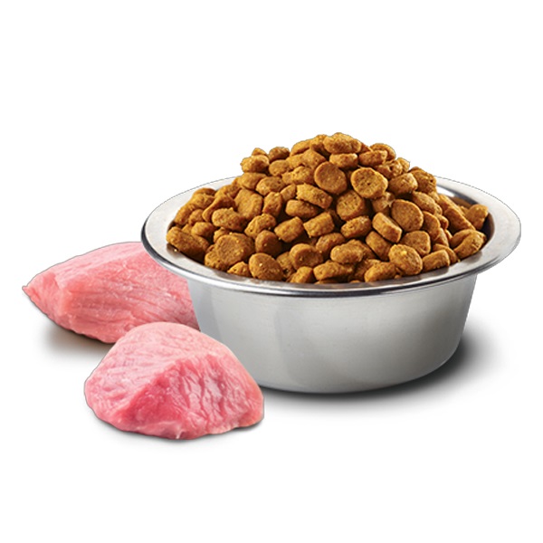 N＆D プライム チキン（ザクロ入り） 子猫用 300g | ペット用品