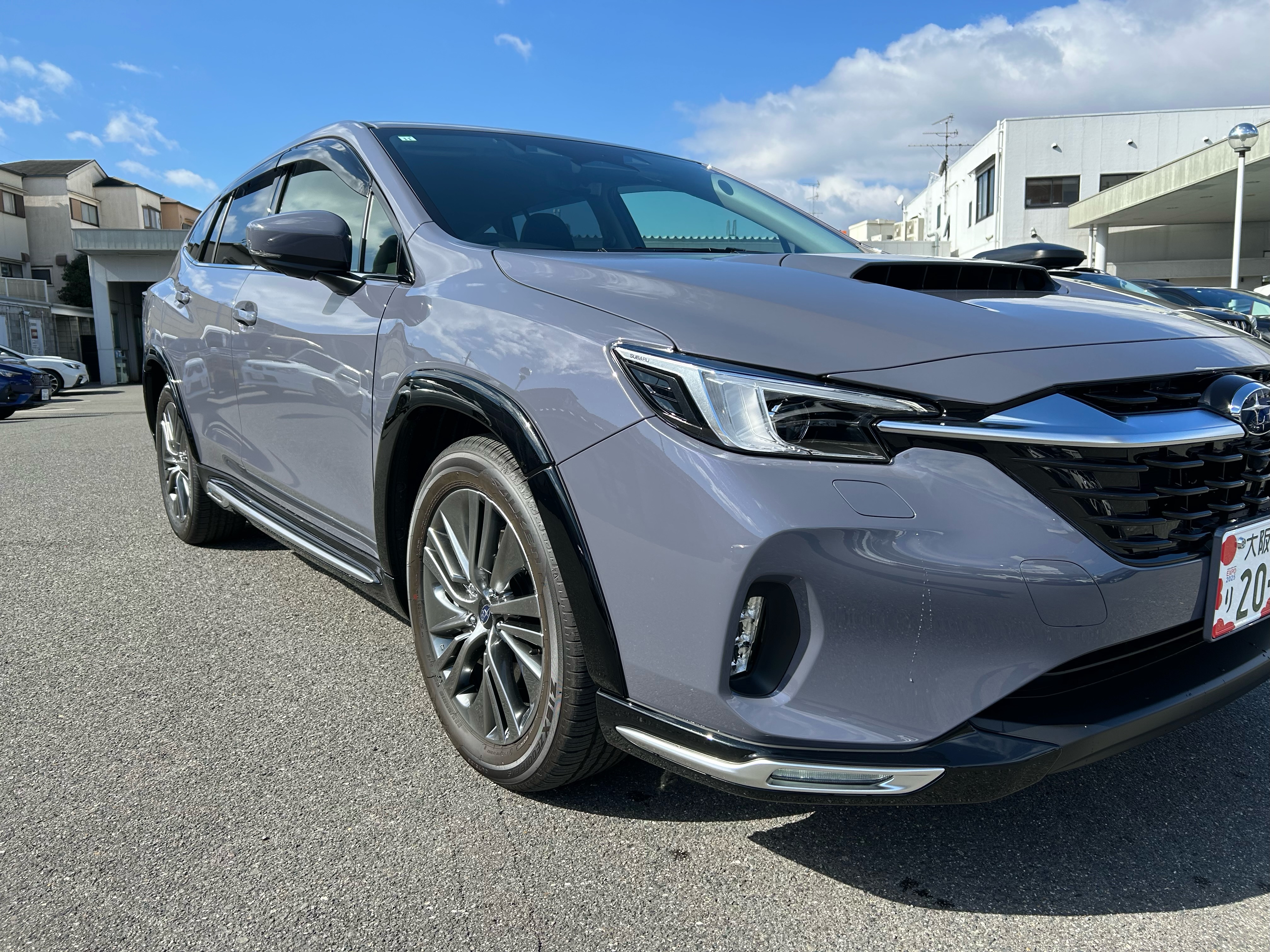 レイバックにプレミアムアーバンパッケージを取付けしてみました