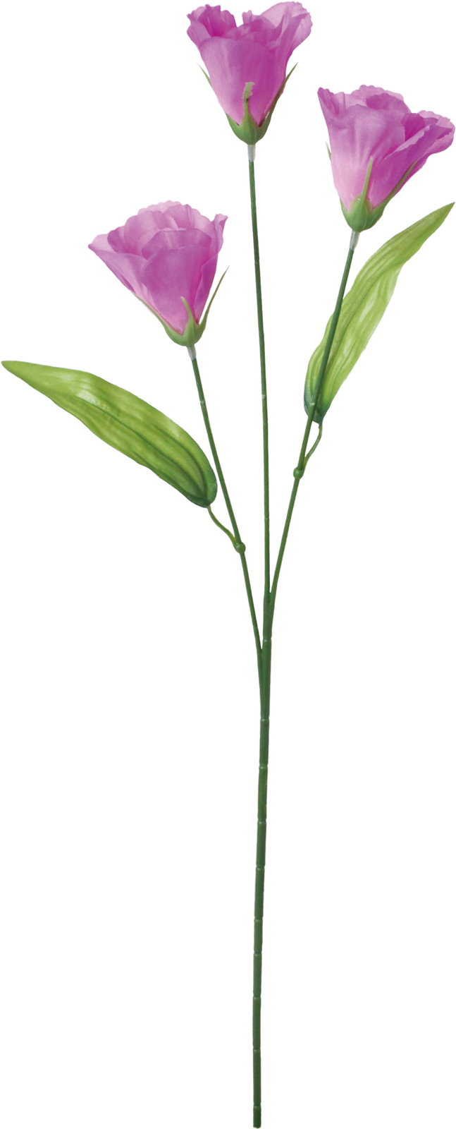 ﾄﾙｺｷｷｮｳ: 造花（アーティフィシャルフラワー） ｜ YDMオンラインストア