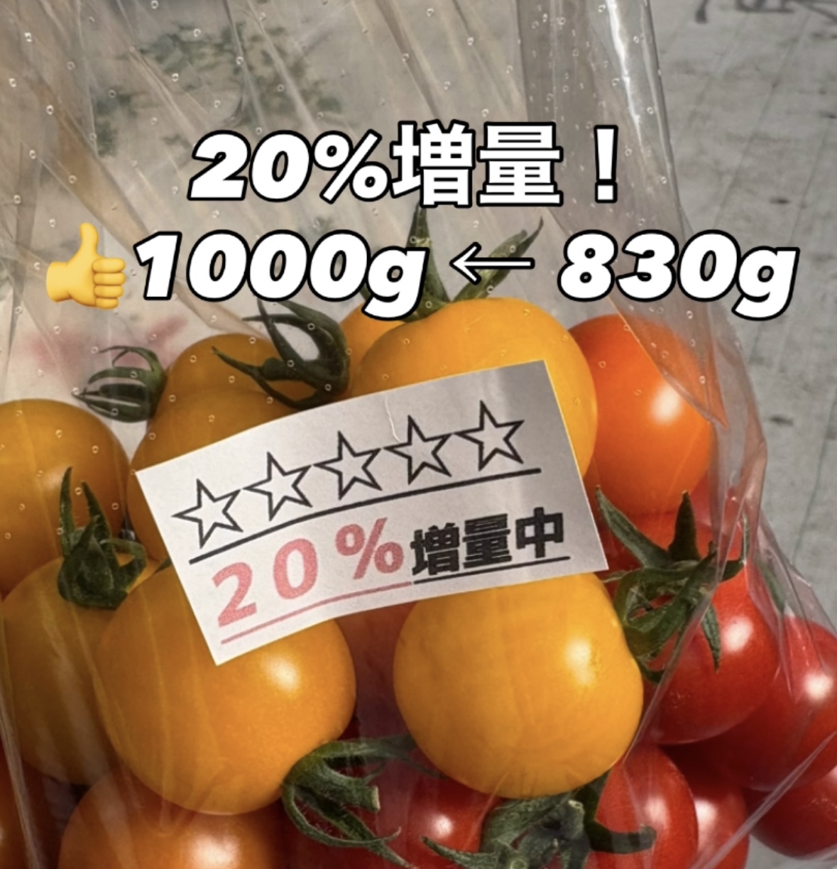 20%増量セール！ – おりがみ農園