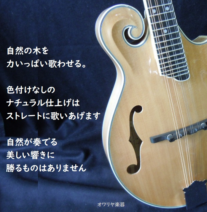 フラットマンドリン総単板シダー・ハードケースセット f60 ナチュラル