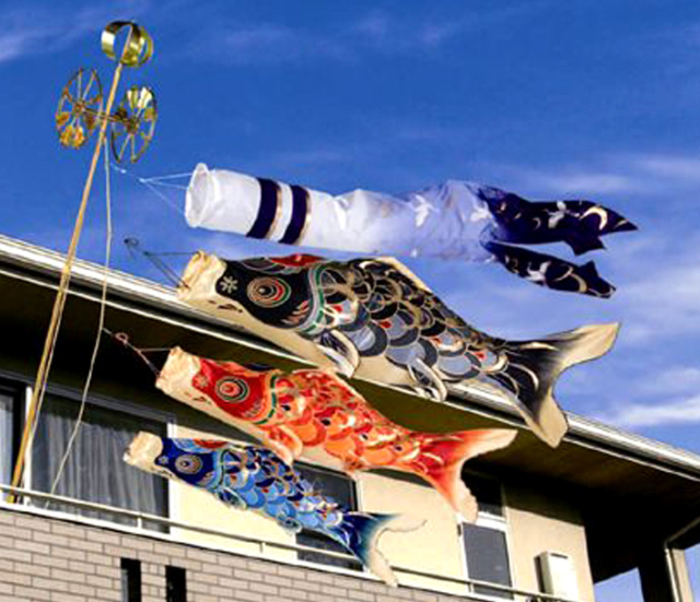 鯉のぼり】皇彩 1.5m スタンドセット 翔鶴ゴールド吹流し（水袋付き）