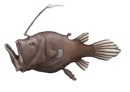 ミツクリエナガチョウチンアンコウ・川崎悟司イラスト集