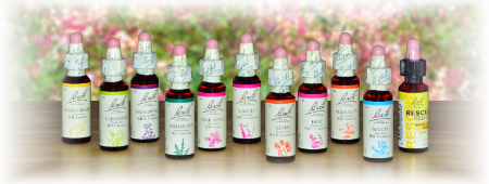 プレゼントコーナー | e Pass Thyme