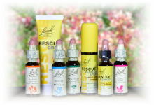 受験対策」に役立つバッチフラワーレメディ | e Pass Thyme