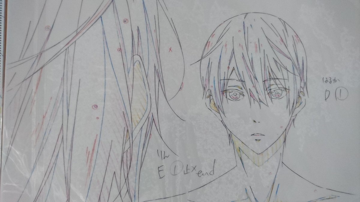 Free！ES・映画ハイ☆スピード！】 「原画クリアファイルセット」入荷