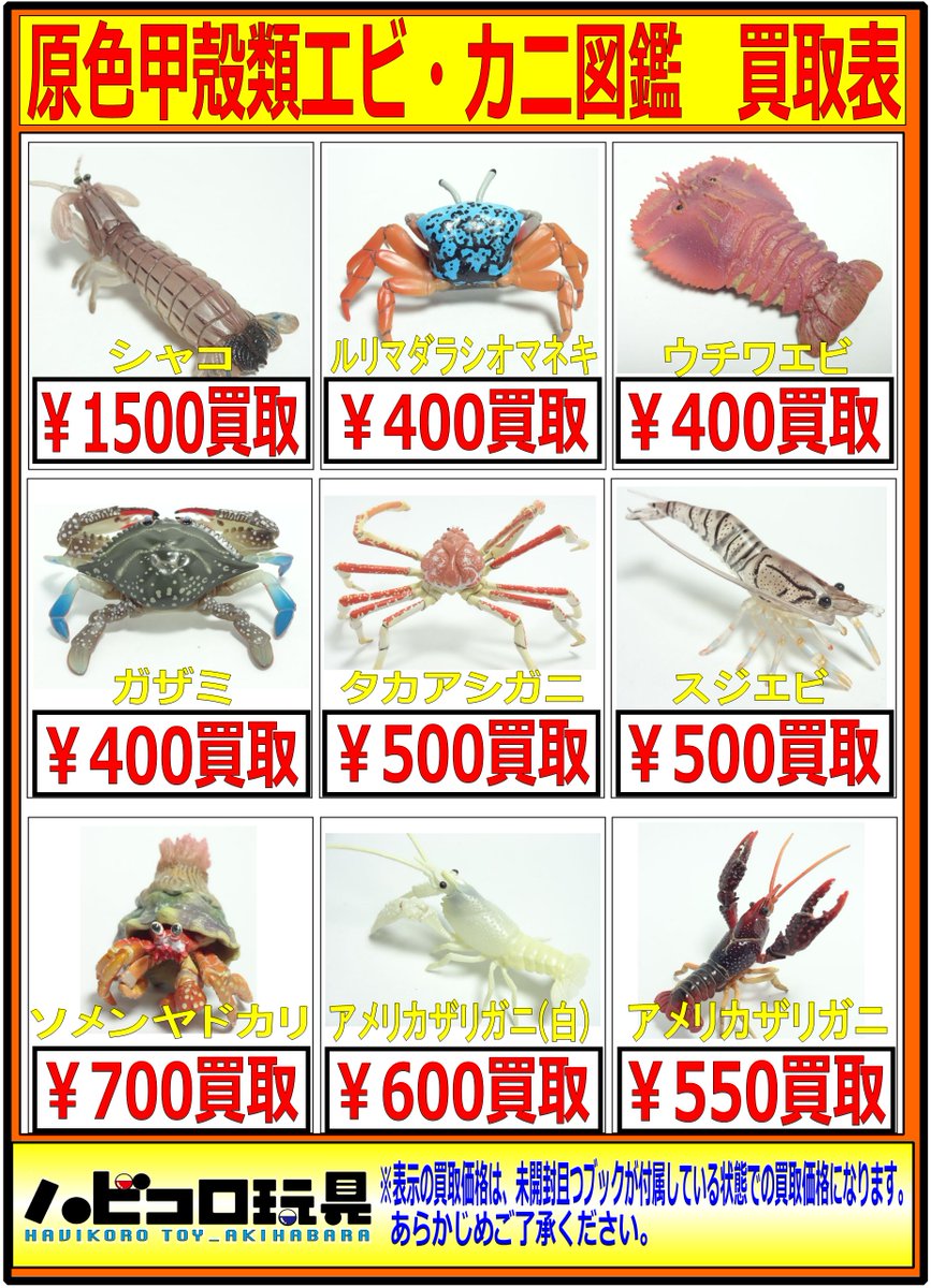 買取情報】【AKIBAカルチャーズZONE4F店】 原色甲殻類エビ・カニ図鑑