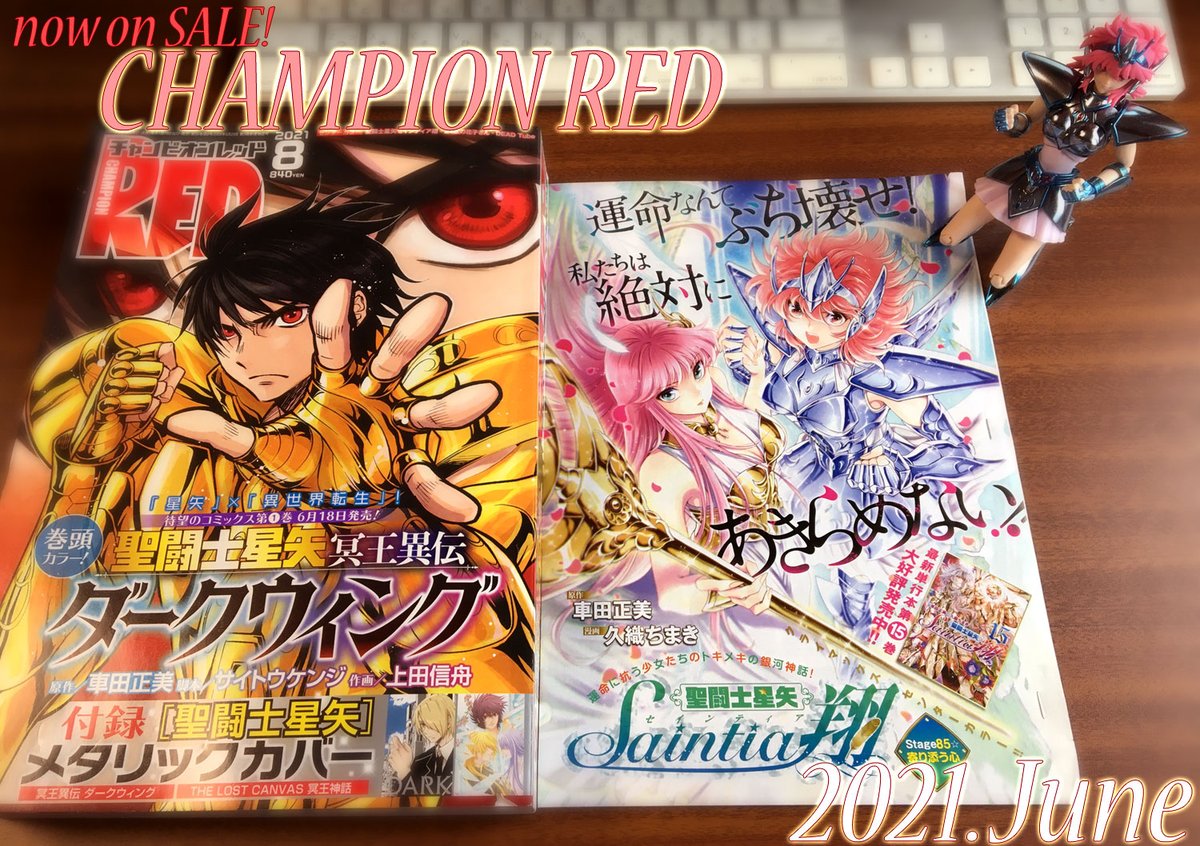 □チャンピオンRED8月号 発売中です！ 「聖闘士星矢セインティア翔