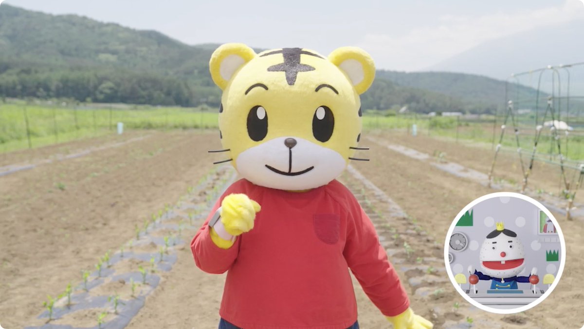 明日は📺 【のうぎょうのわお！】 #しまじろう くんが苗植えに挑戦