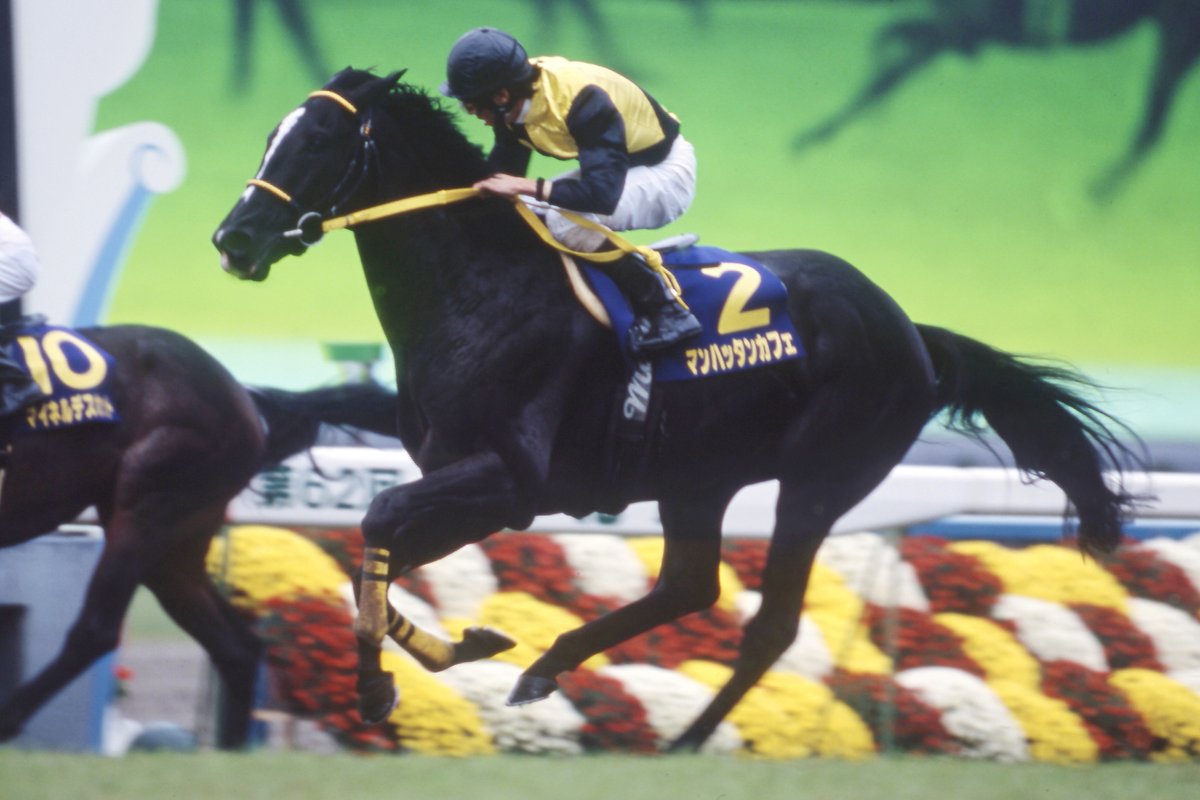 現地単勝マンハッタンカフェ 天皇賞春2002年100円 マンハッタンカフェ