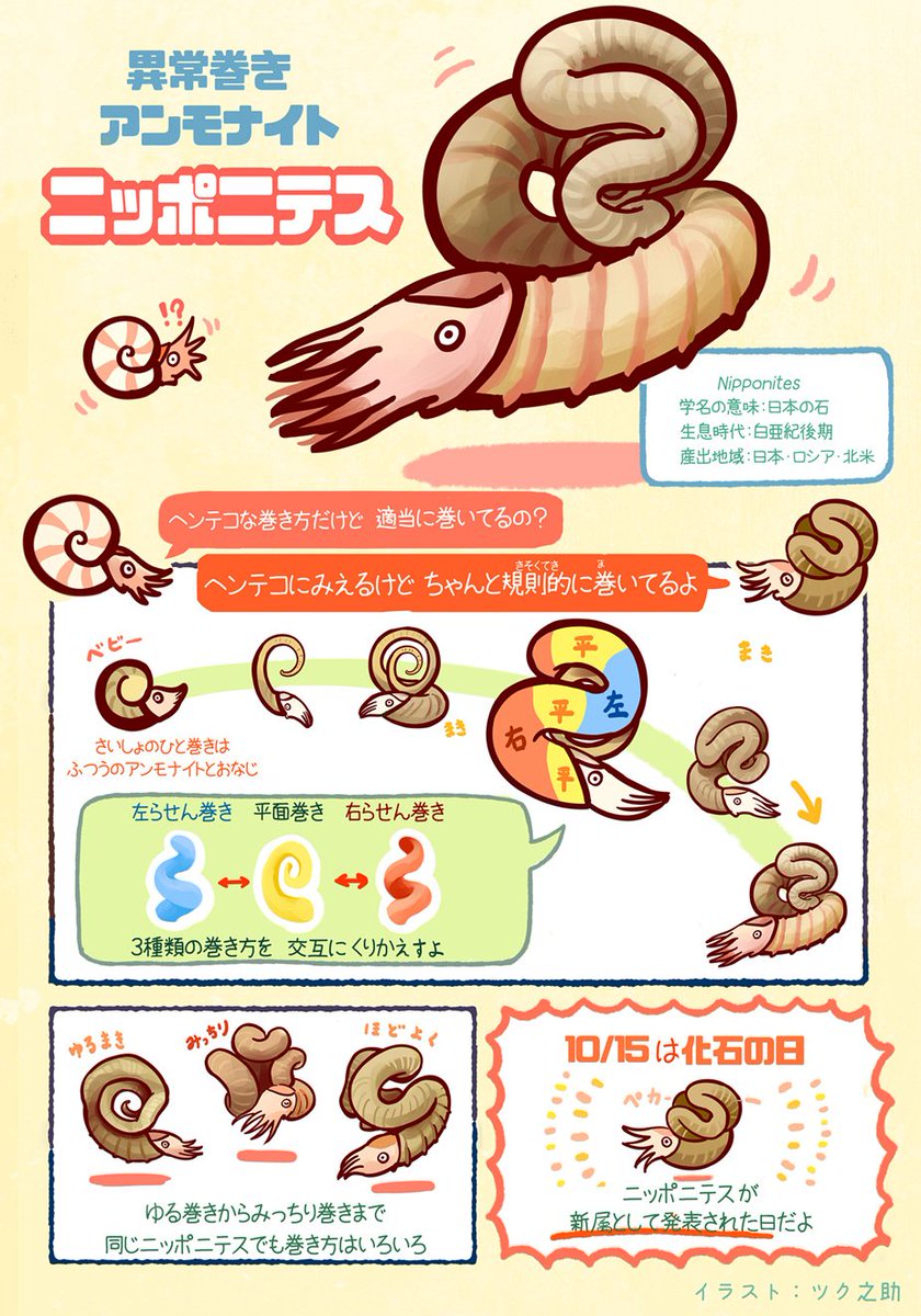 最近異常巻きアンモナイトという言葉を見かけるけど，そもそもいったい