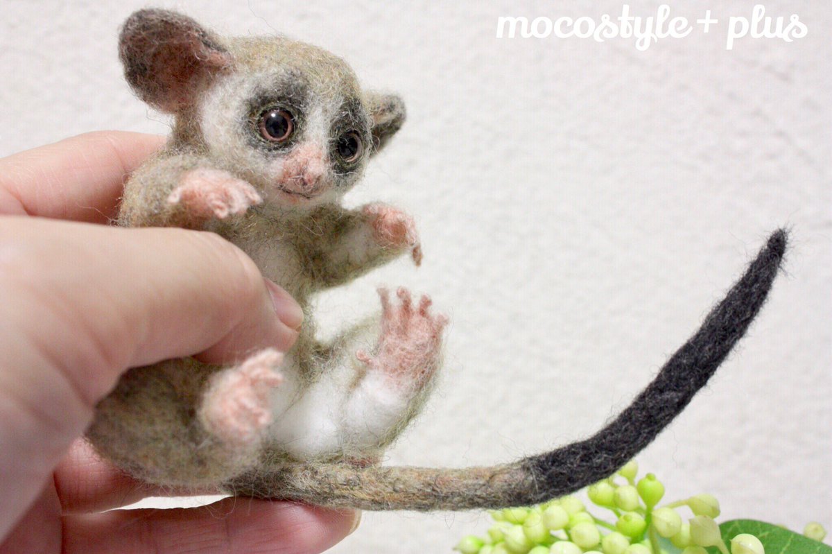 ショウガラゴ🐒のベビー あと一息のところまできました！ * #羊毛